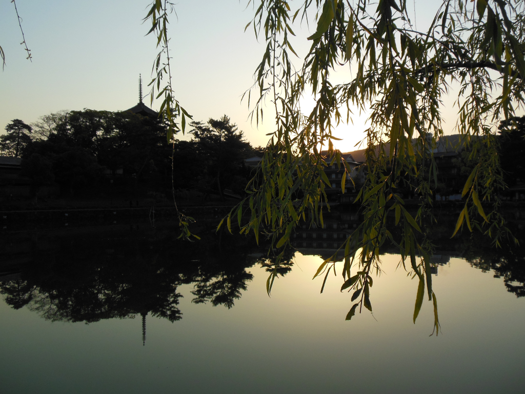 The Sarusawa Pond (Photo: Terao Kaionin)