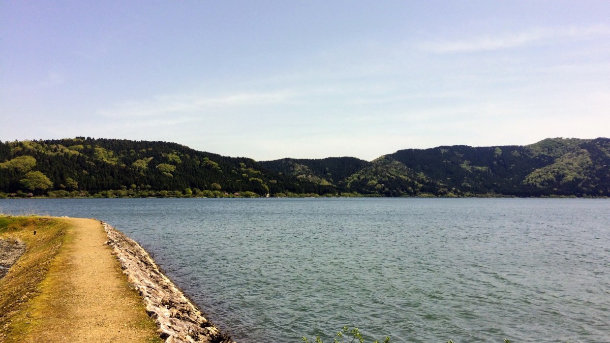 752136d8-571a-4d8f-9163-4d73dbaa5e80